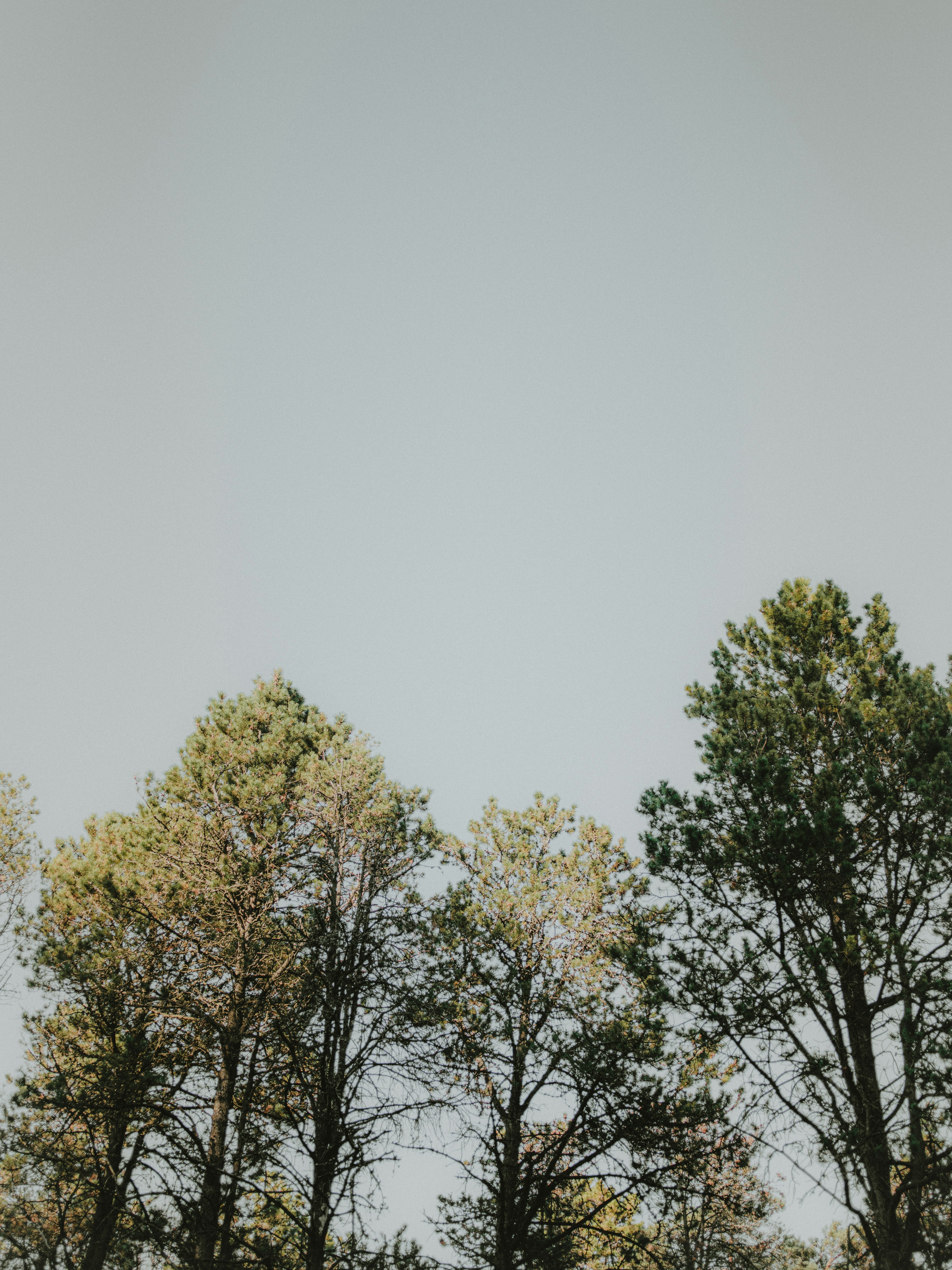 Photo by anniespratt