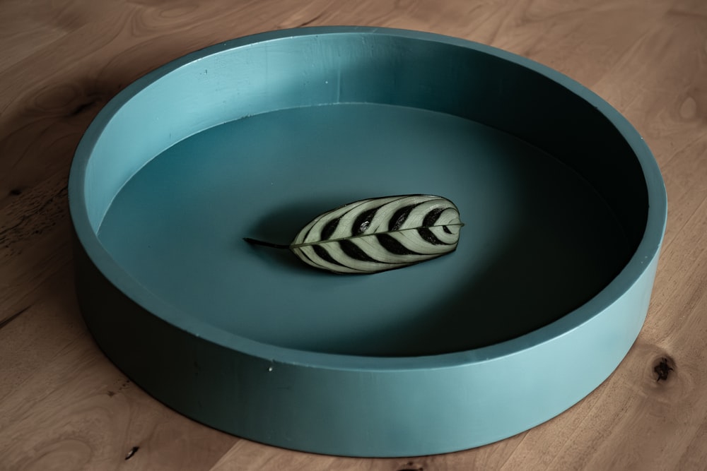 a blue bowl with a black and white leaf in it