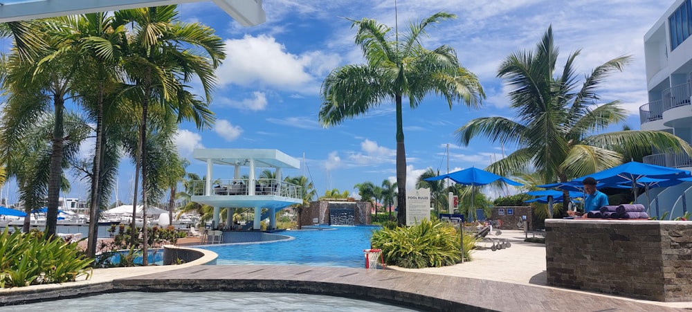 a large swimming pool surrounded by palm trees