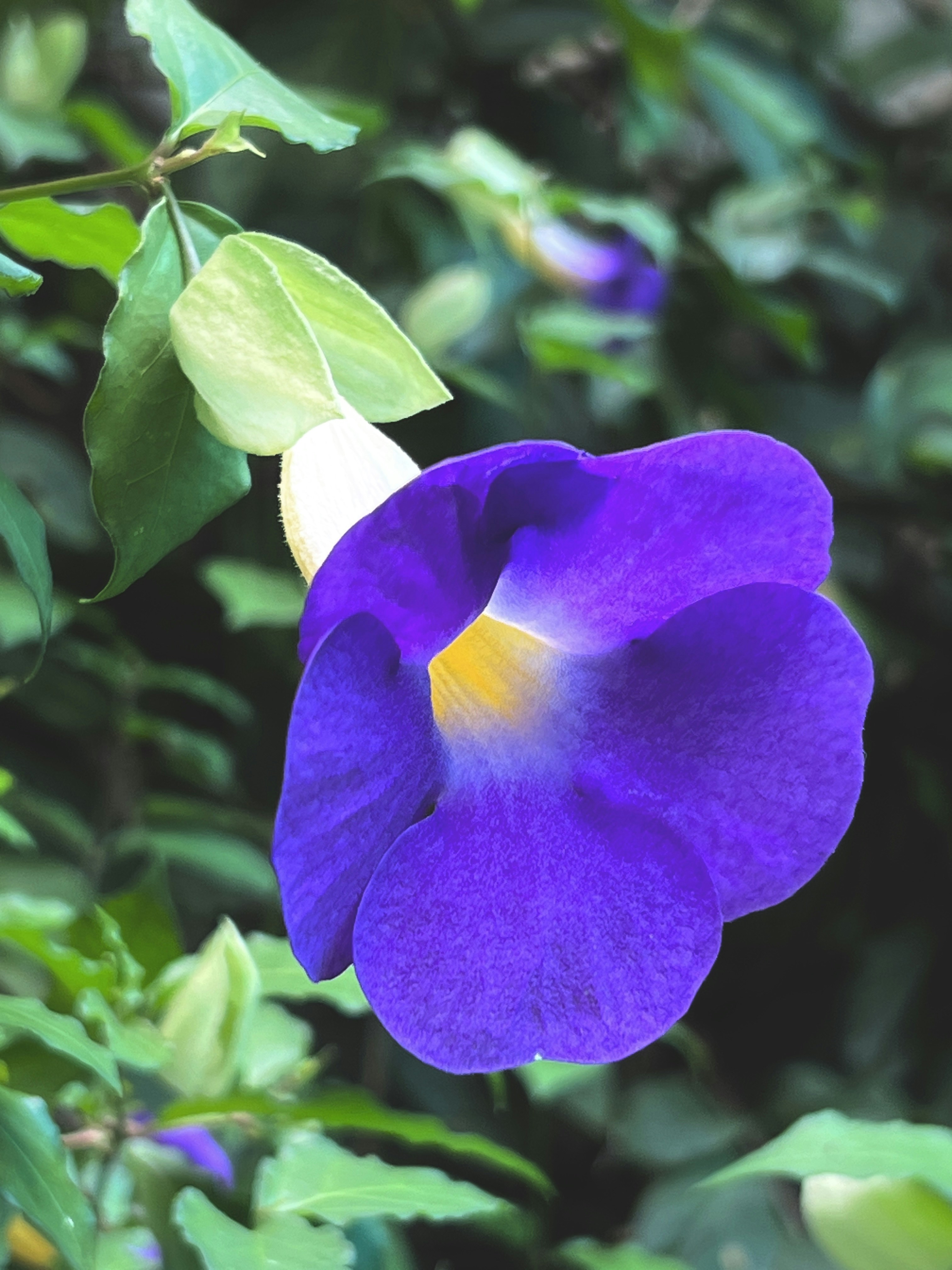 Photo by thanhliem178