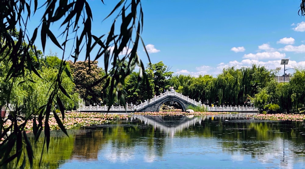 a bridge over a body of water surrounded by trees