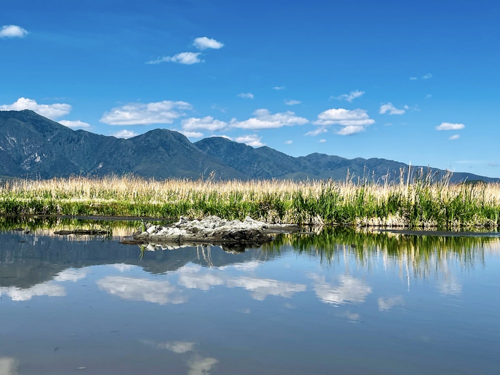 a body of water surrounded by mountains and grass