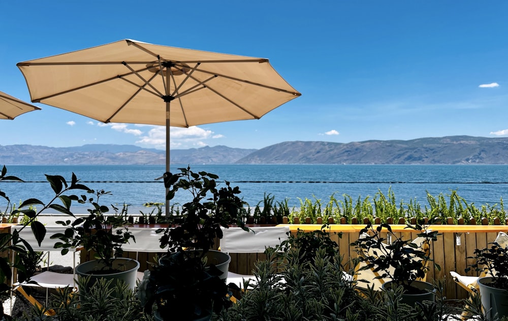 two umbrellas sitting on top of a table next to a body of water