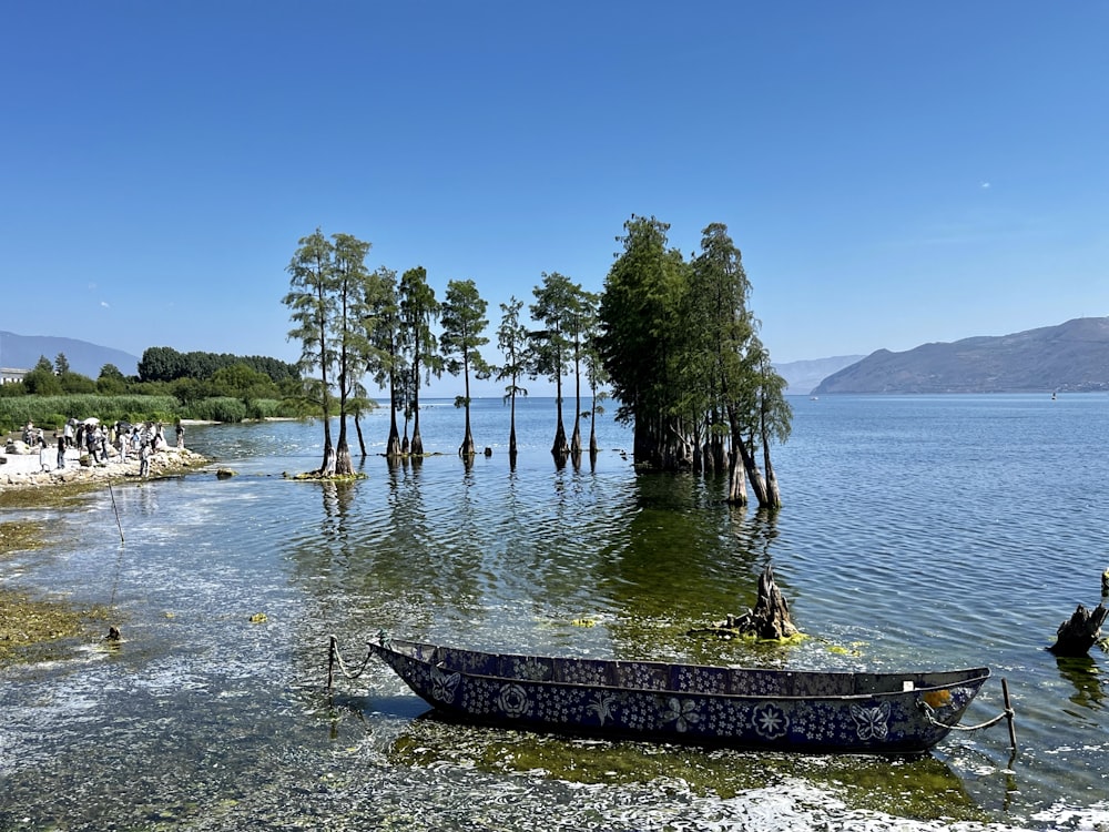 una barca seduta in mezzo a uno specchio d'acqua