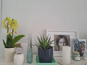 Stylish home decor items like candles, picture frames, and small plants arranged on a shelf.