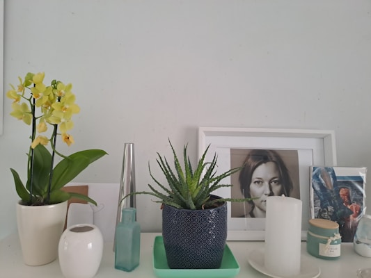 A collection of flower pots and vases in gold and silver finishes, made from brass and aluminium, arranged on a sunlit shelf.