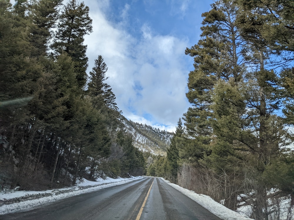 a road surrounded by snow and trees under a cloudy sky