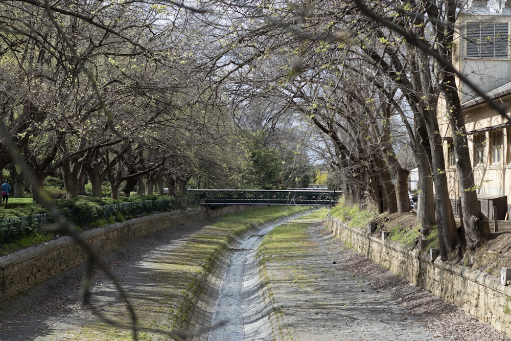 a tree lined street with a bridge in the distance