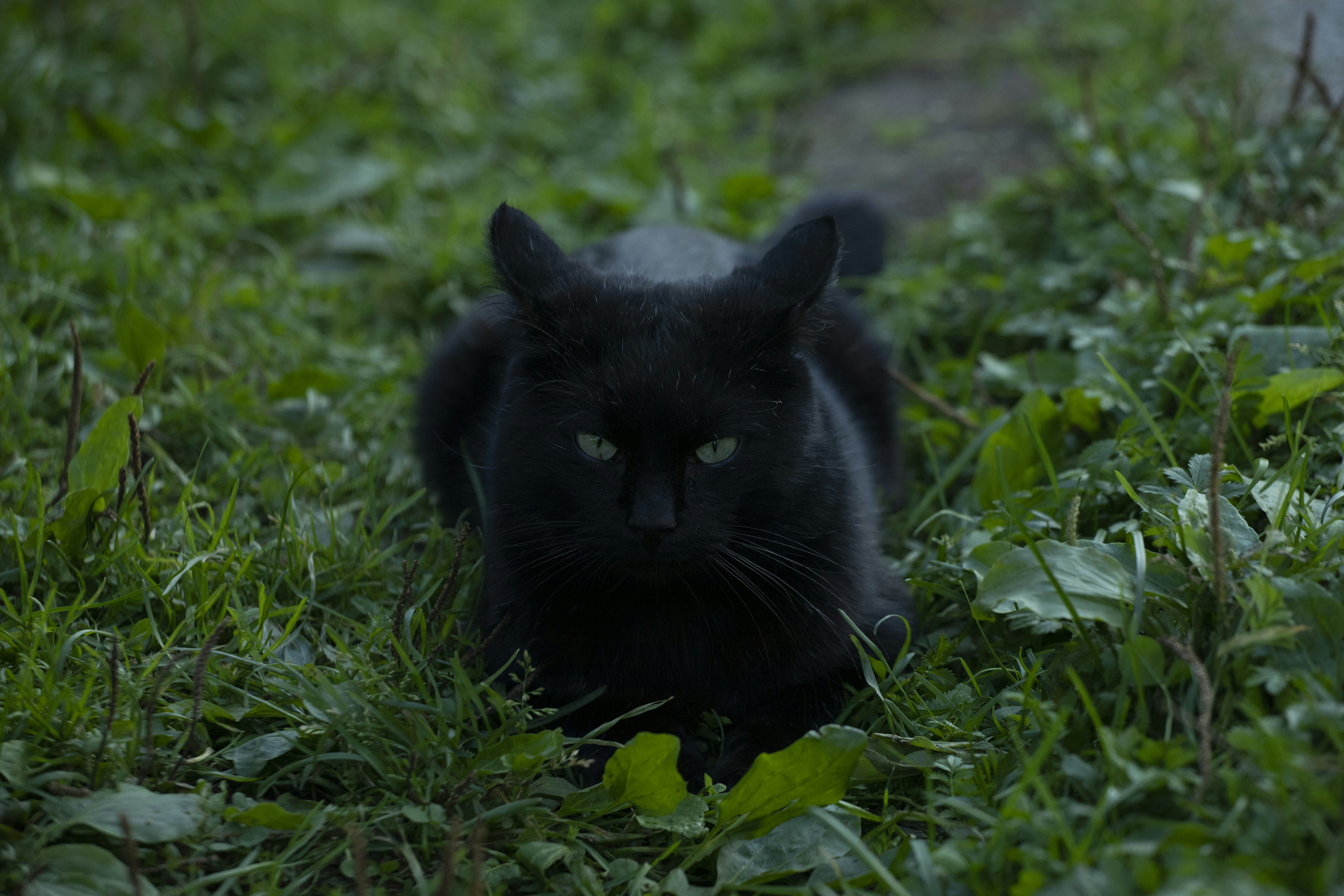 When the Defenders Become the Attackers: Cybersecurity Experts Indicted for BlackCat Ransomware Operations