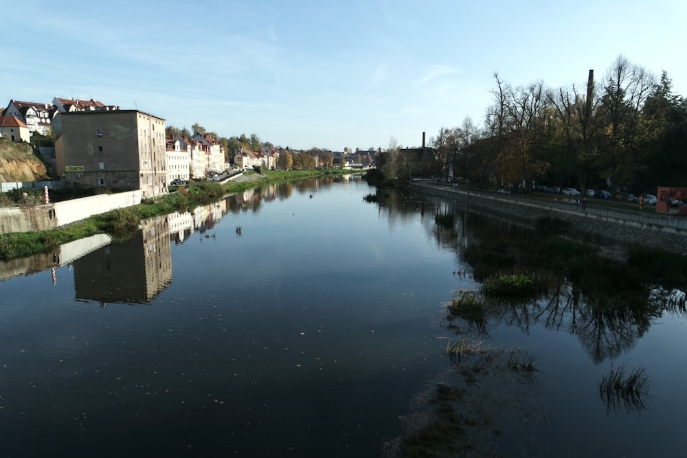 a body of water surrounded by buildings and trees