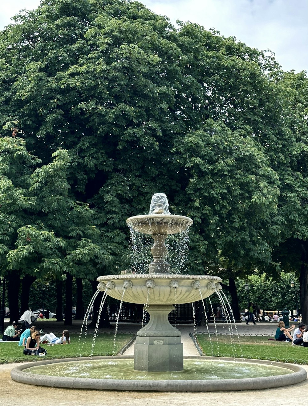 a water fountain in a park surrounded by trees
