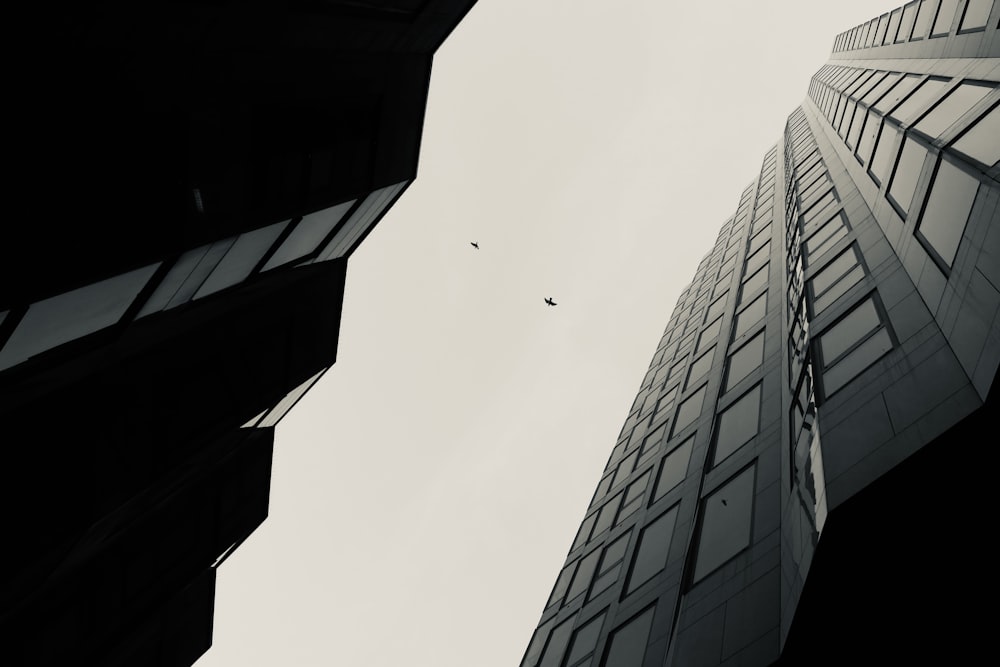 a black and white photo of two tall buildings