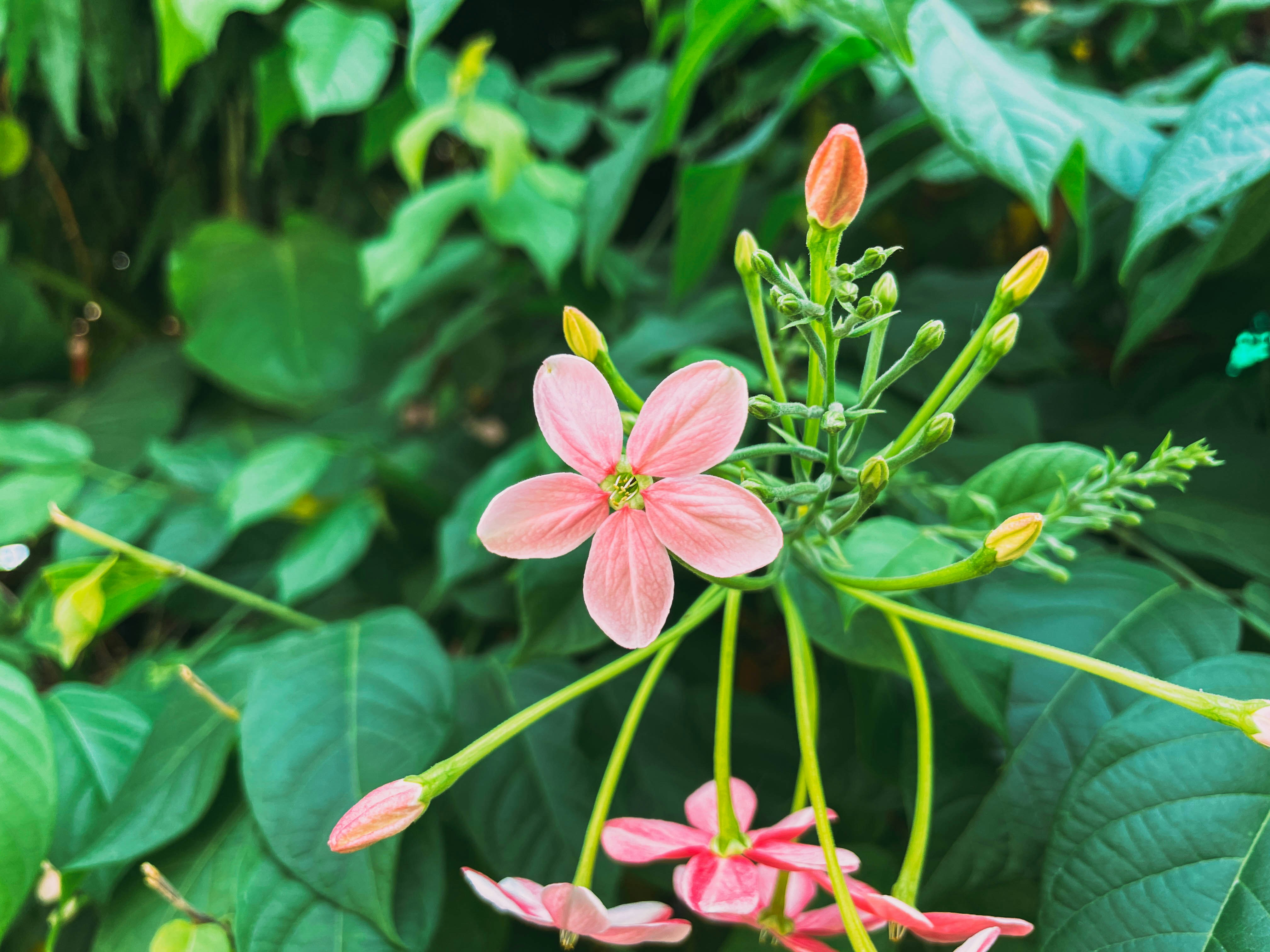 Photo by sehajonly14