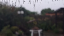 The image features a blurred background with a dimly lit outdoor setting. There is a thatched roof edge visible at the top, with blurred foliage and a structure in the background. The overall atmosphere appears serene and natural.