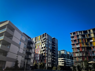 A collection of rental properties showcased in a vibrant setting.