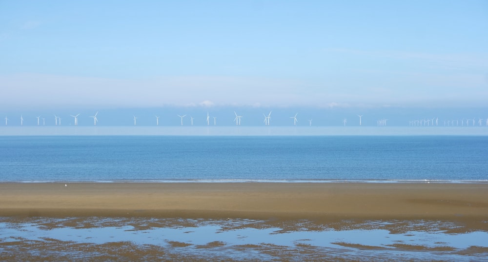 a large body of water with a bunch of wind mills in the background