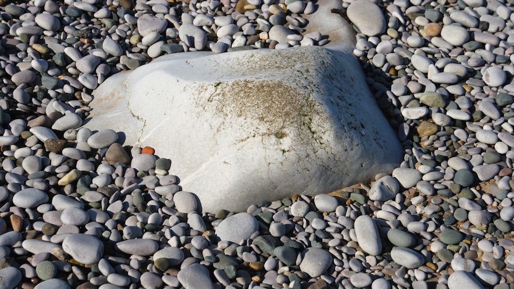 a rock on a rocky beach covered in lots of rocks