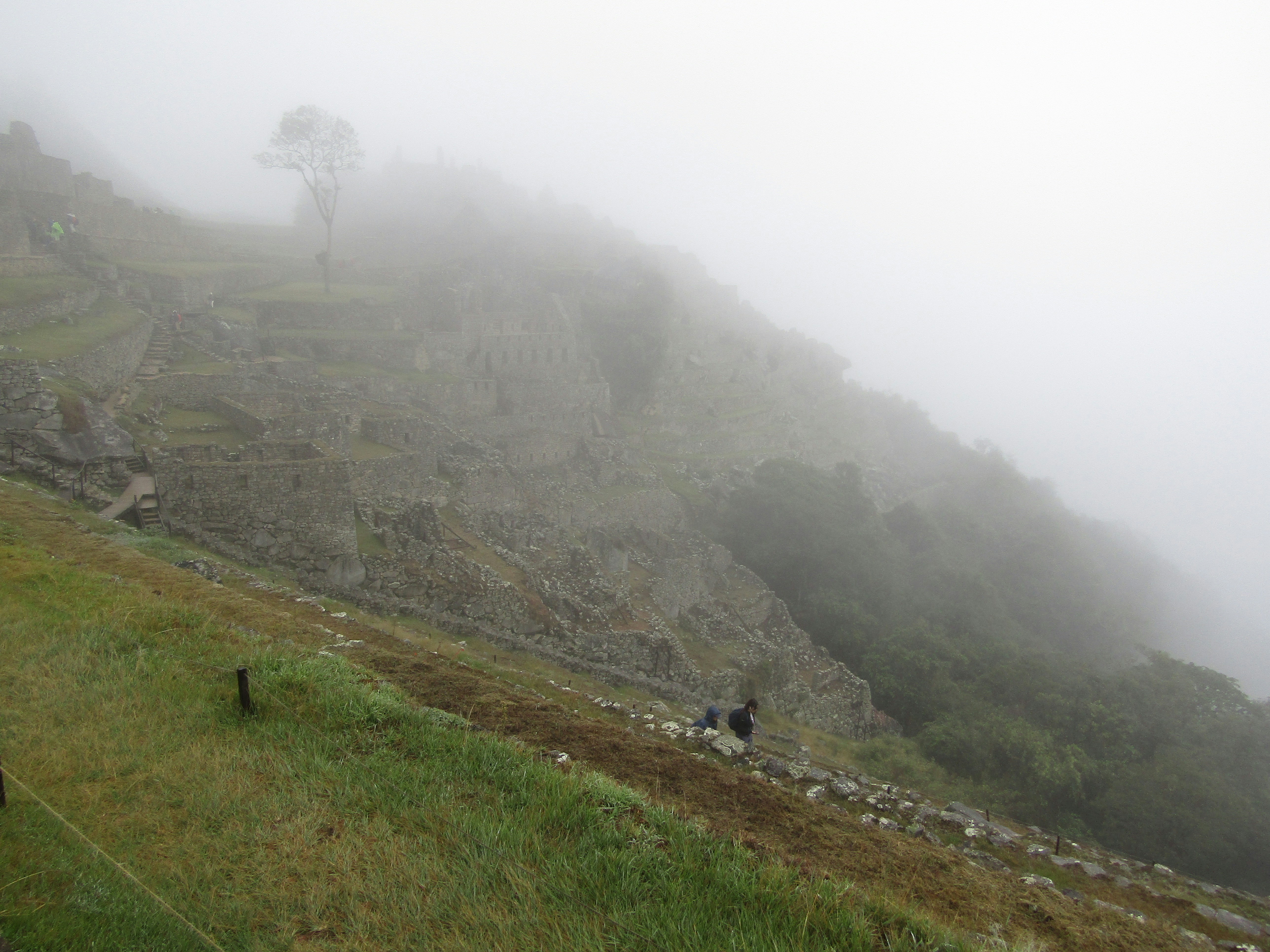 a couple of people walking up a hill on a foggy day, 