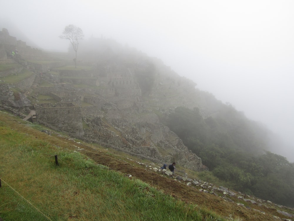 a couple of people walking up a hill on a foggy day