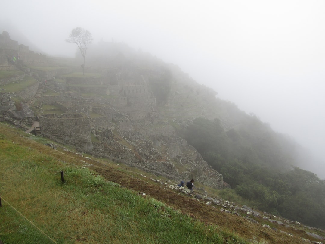 a couple of people walking up a hill on a foggy day,