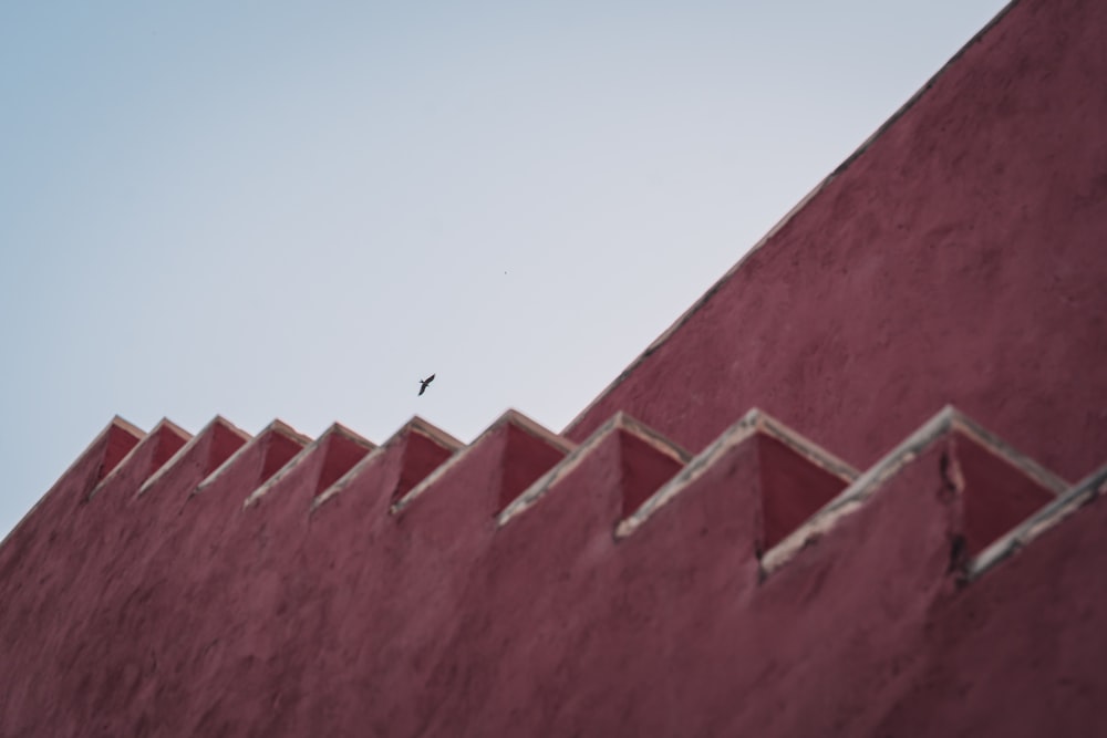 a bird is flying over a red wall