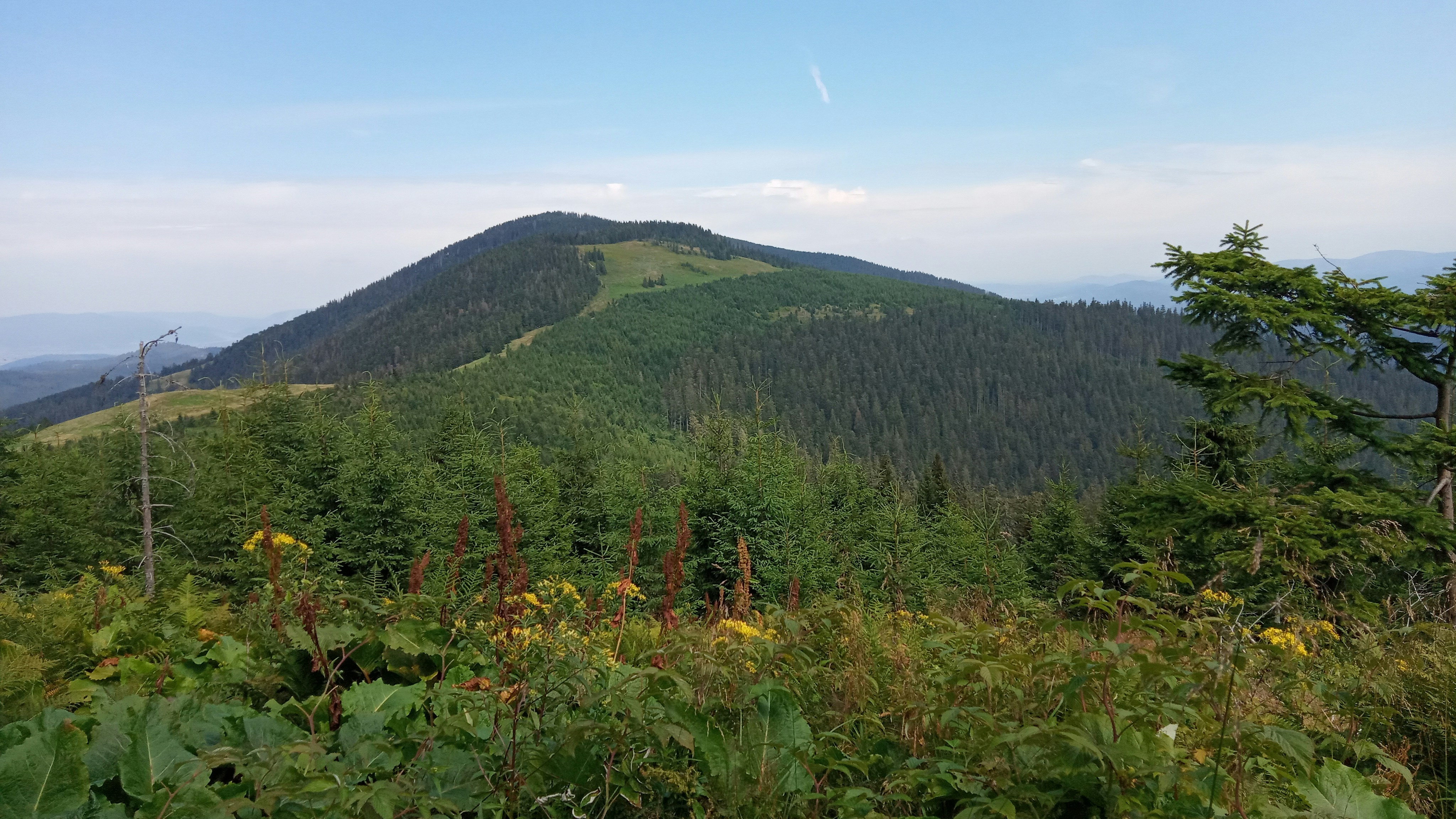 Photo by krzysztofplonka