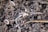Several earthworms are visible within dark, rich soil, surrounded by small clumps of dirt and fine roots.