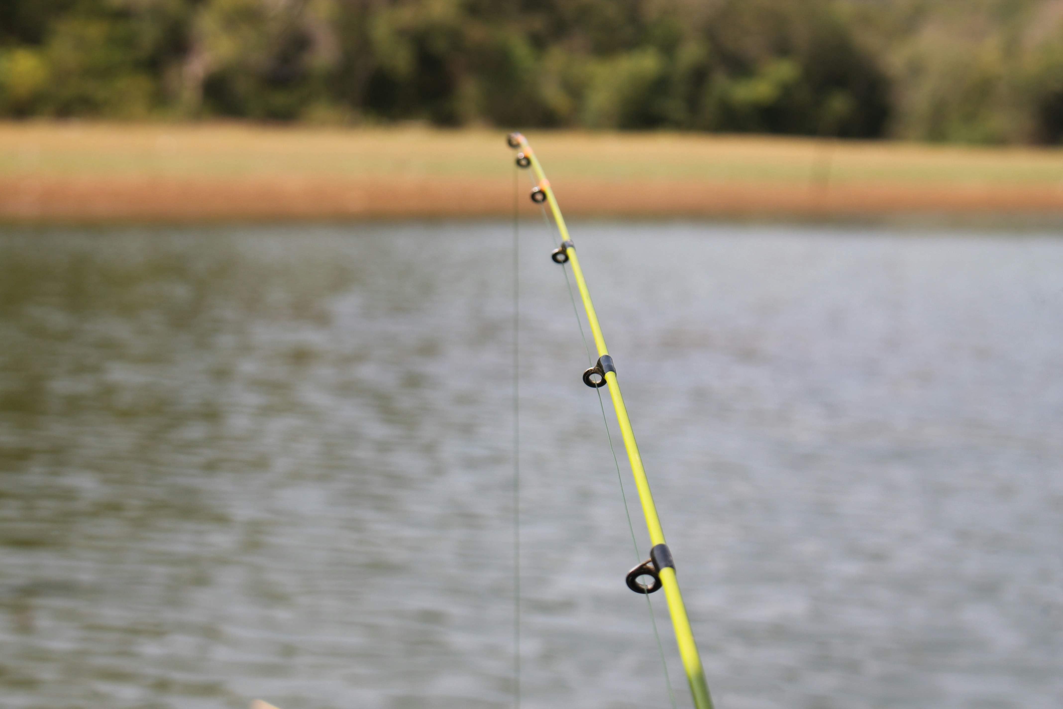 Caña de Pescar Río