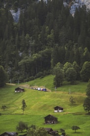 A serene rural landscape featuring several wooden cabins scattered across lush green hills, with a dense forest of tall pine trees in the background. A train with colorful carriages moves along a track that cuts through the greenery, adding a dynamic element to the otherwise tranquil setting.