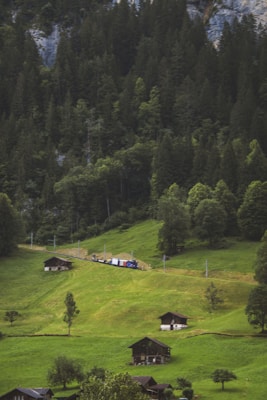 A serene rural landscape featuring several wooden cabins scattered across lush green hills, with a dense forest of tall pine trees in the background. A train with colorful carriages moves along a track that cuts through the greenery, adding a dynamic element to the otherwise tranquil setting.