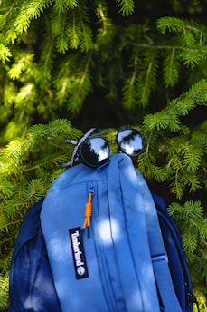A blue backpack is partially hidden among green pine branches. The backpack features a Timberland logo and has a pair of reflective sunglasses hooked onto it. Sunlight filters through the branches, casting dappled light on the bag and surrounding foliage.