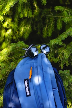 A blue backpack is partially hidden among green pine branches. The backpack features a Timberland logo and has a pair of reflective sunglasses hooked onto it. Sunlight filters through the branches, casting dappled light on the bag and surrounding foliage.