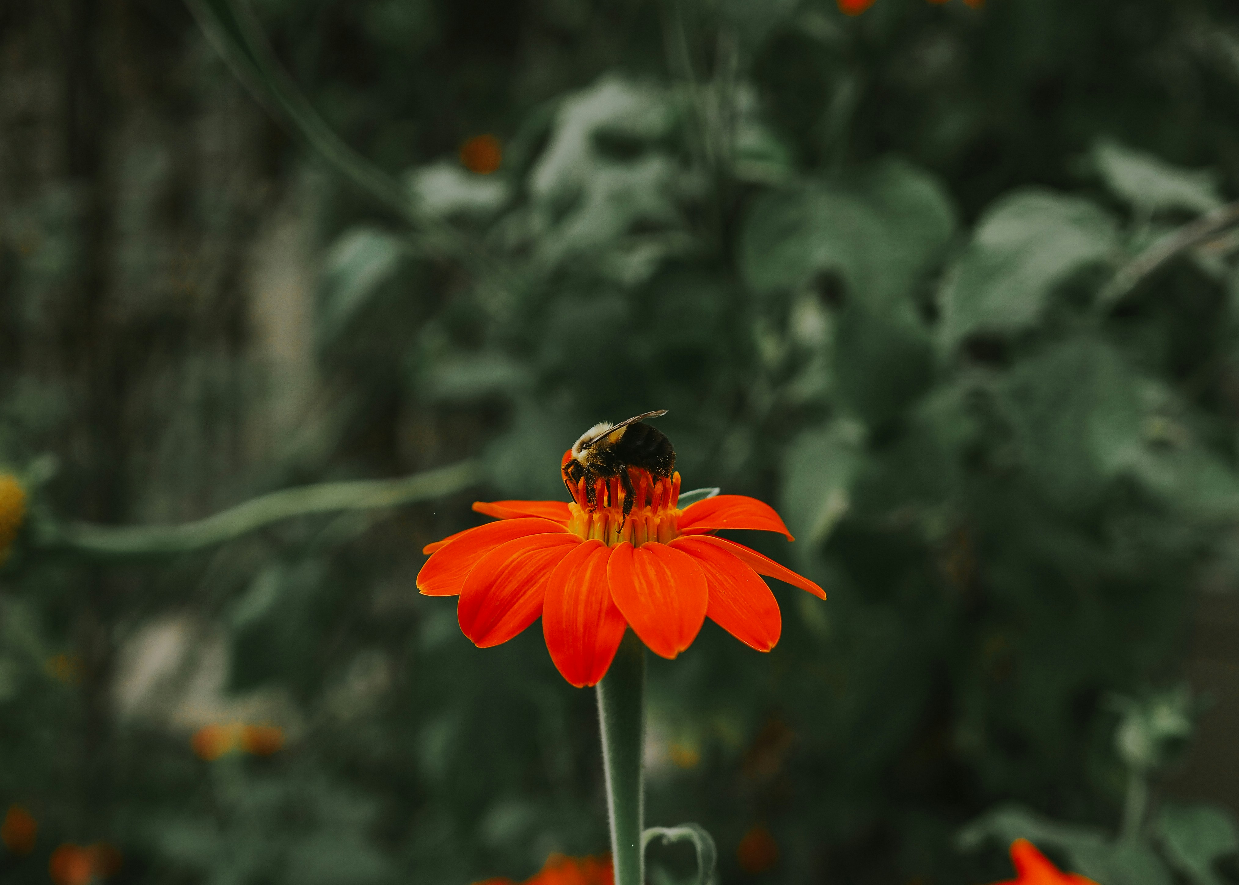 Photo by fieldworkframes