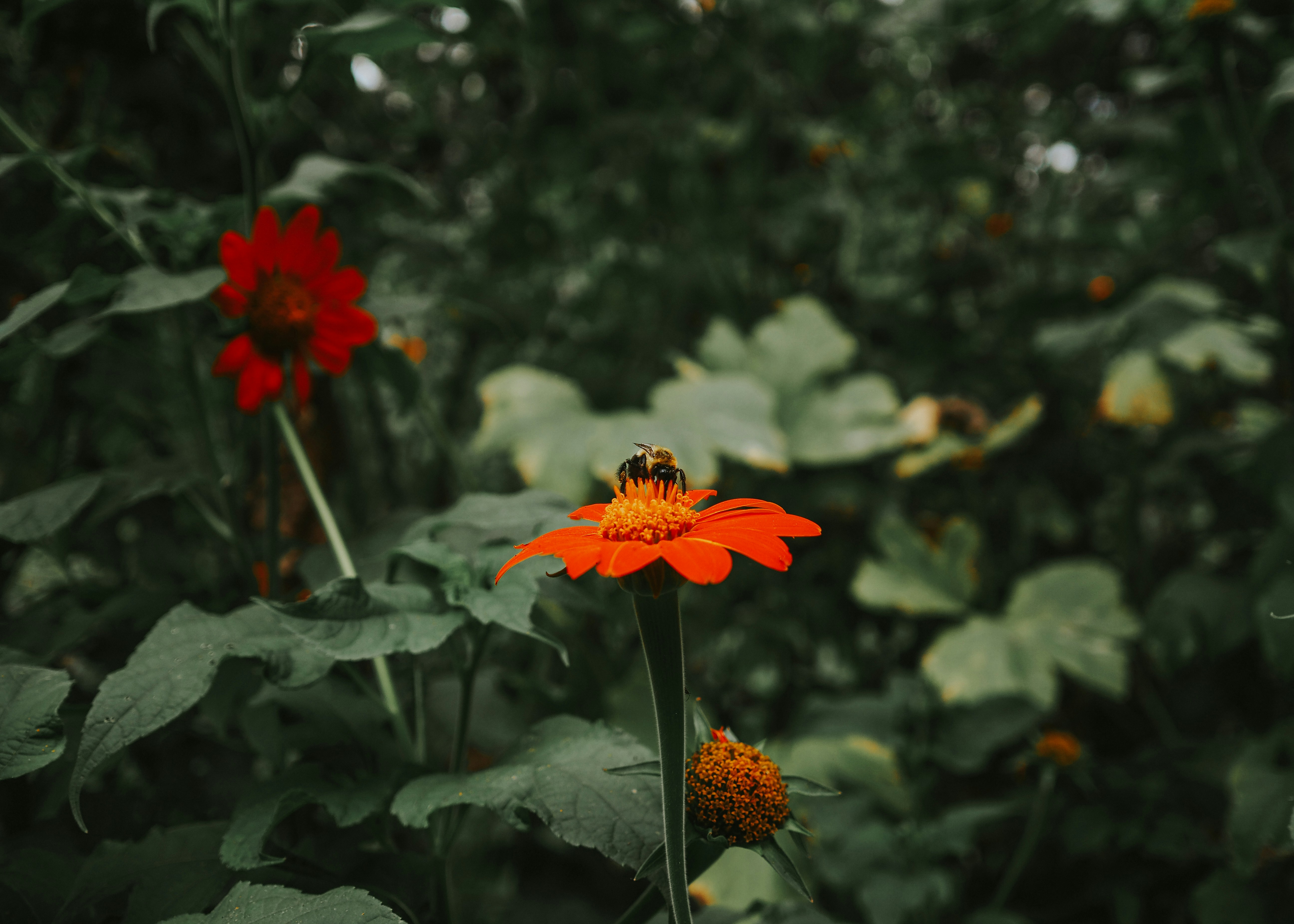 Photo by fieldworkframes
