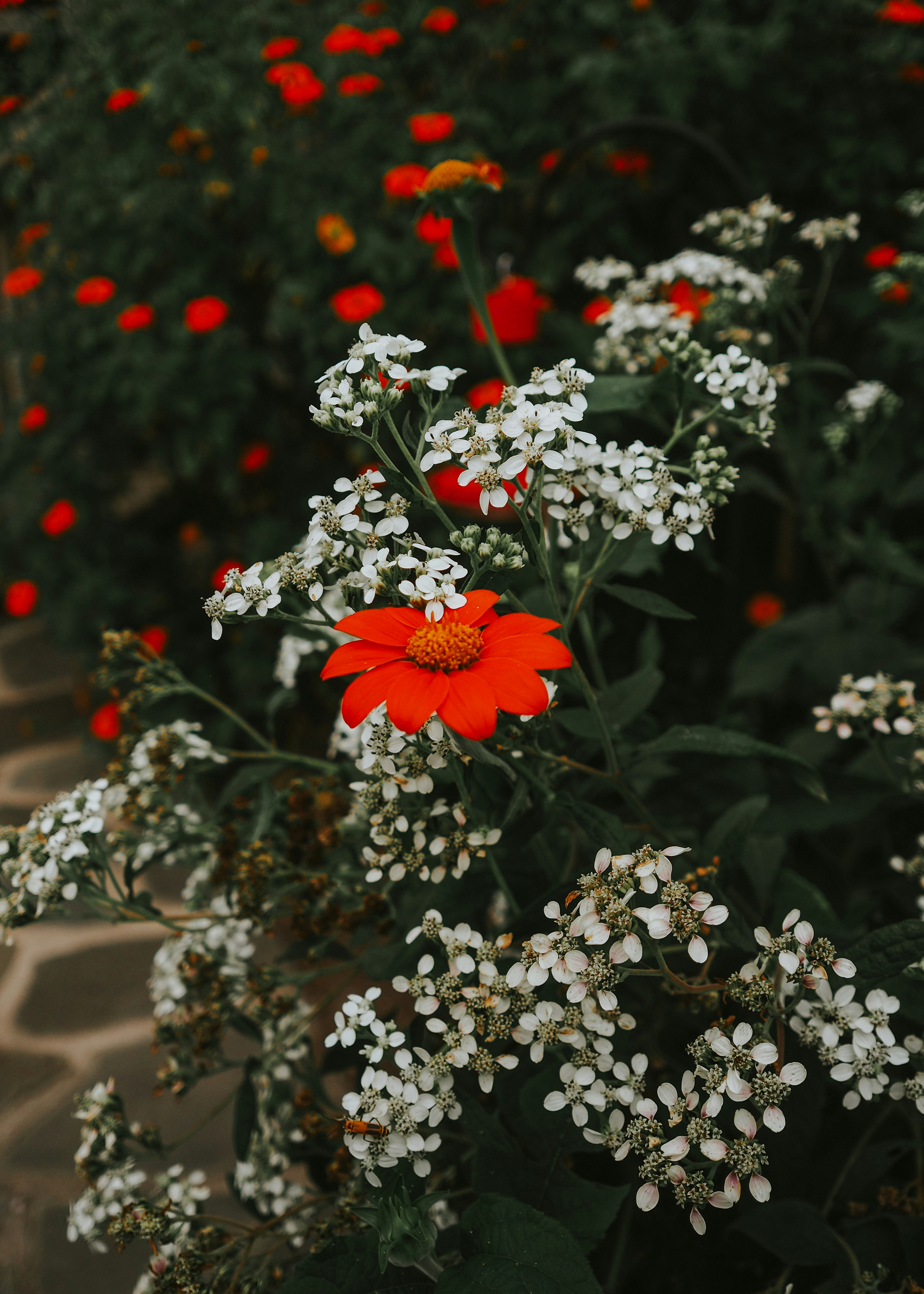 Photo by fieldworkframes