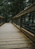 A wooden boardwalk stretches into a dense, green forest. The railing is made of wood and wire, guiding the path through the lush trees. A person and a dog are walking at the far end of the boardwalk.