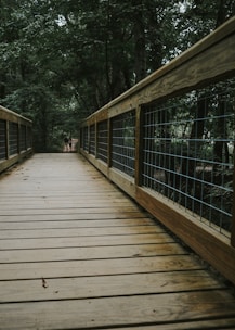 A wooden boardwalk stretches into a dense, green forest. The railing is made of wood and wire, guiding the path through the lush trees. A person and a dog are walking at the far end of the boardwalk.