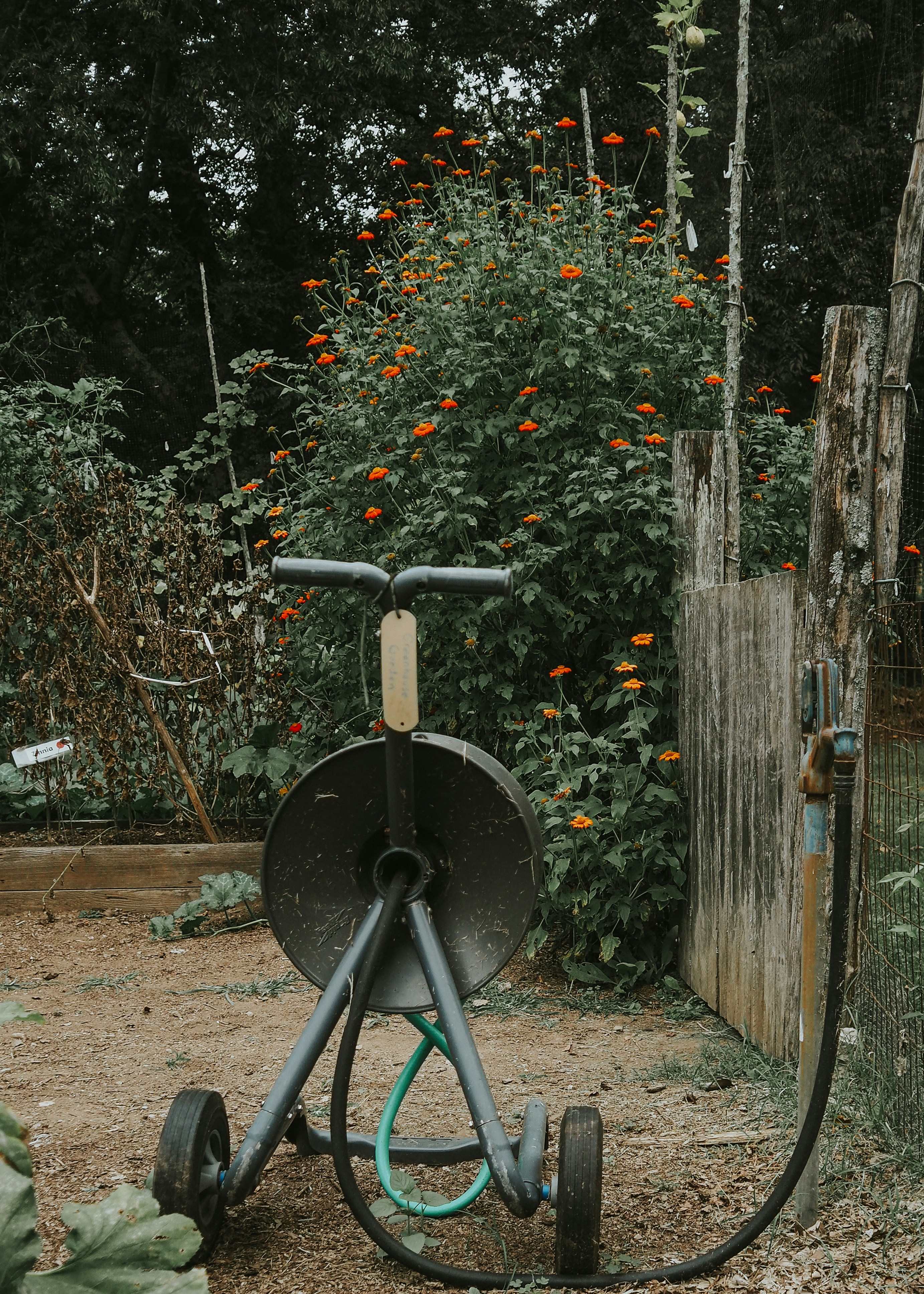 Outdoor Menu Display