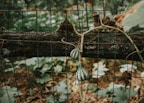 A sturdy metal log rack displayed in a garden.
