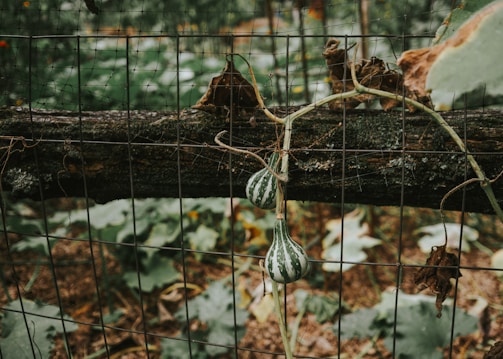 A metal log rack displayed in a garden.