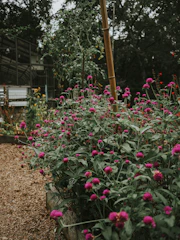 A sturdy yard stake featuring an artistic metal flower design standing proudly in a lush flowerbed.