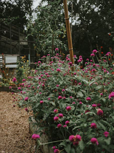 A sturdy yard stake featuring an artistic metal flower design standing proudly in a lush flowerbed.
