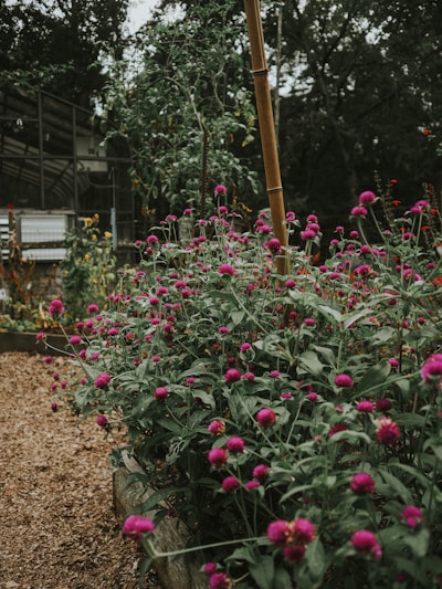 Close-up of colorful decorative garden stakes planted among blooming flowers in a sunny backyard.