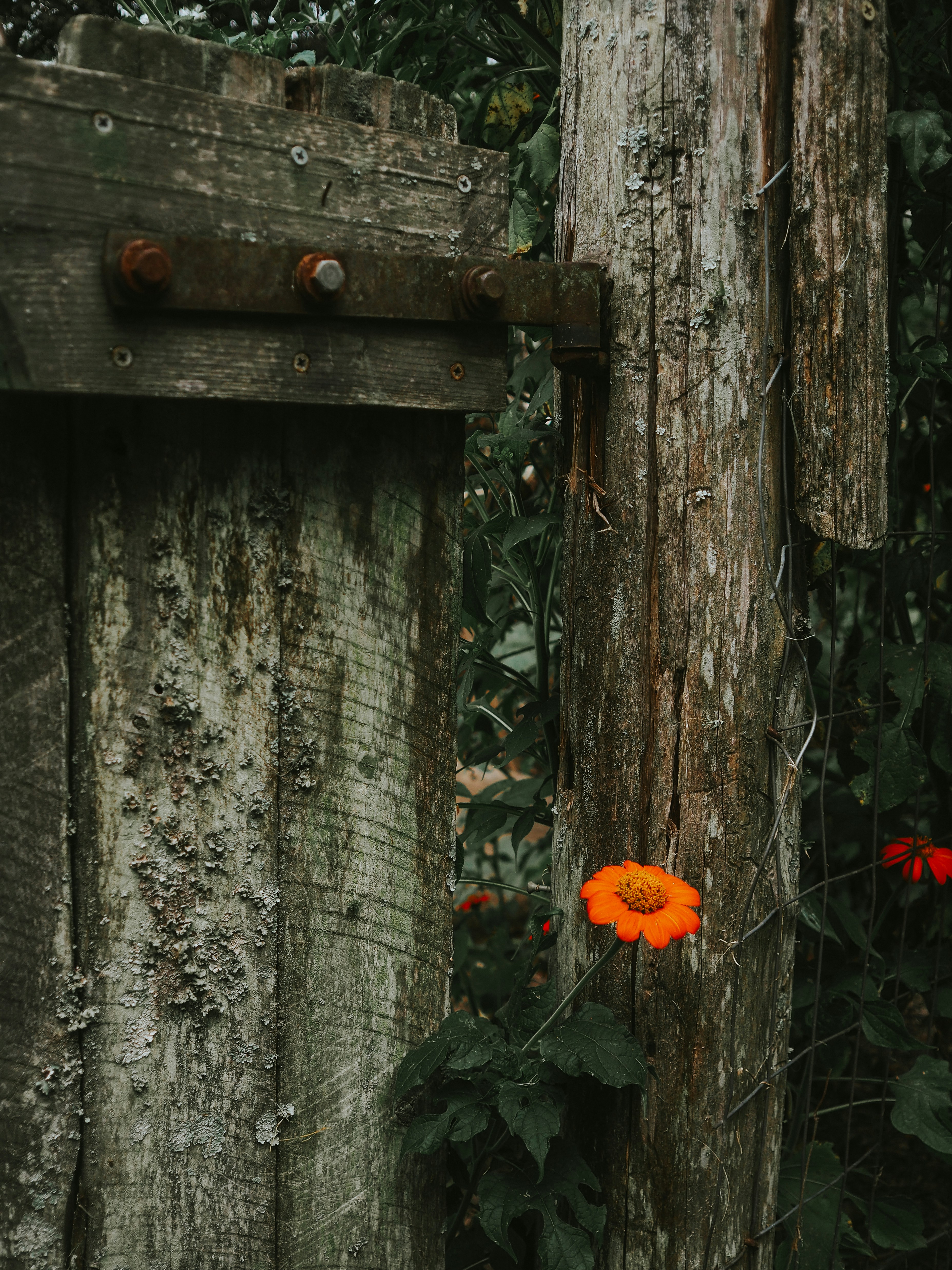 Photo by fieldworkframes