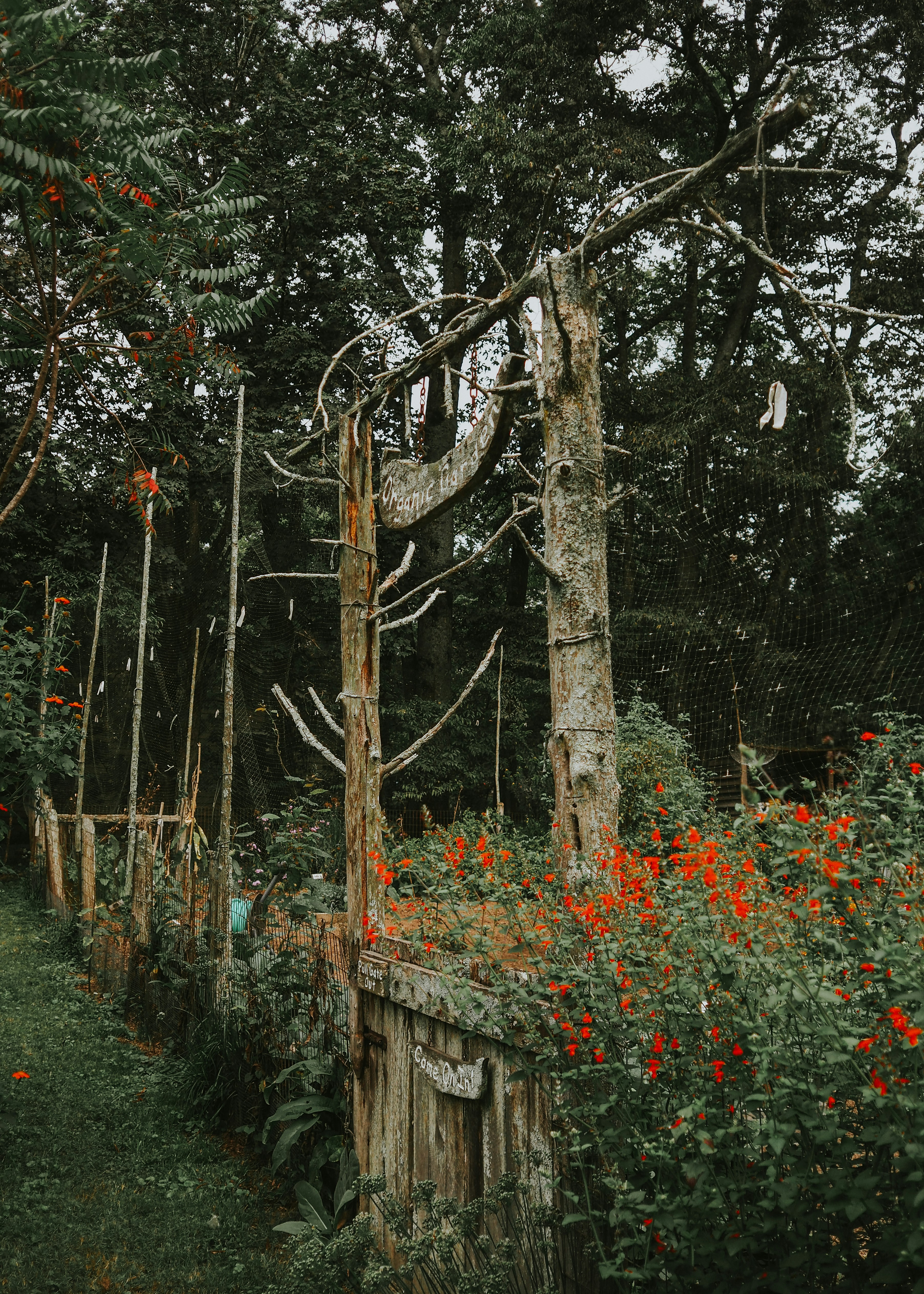 Photo by fieldworkframes