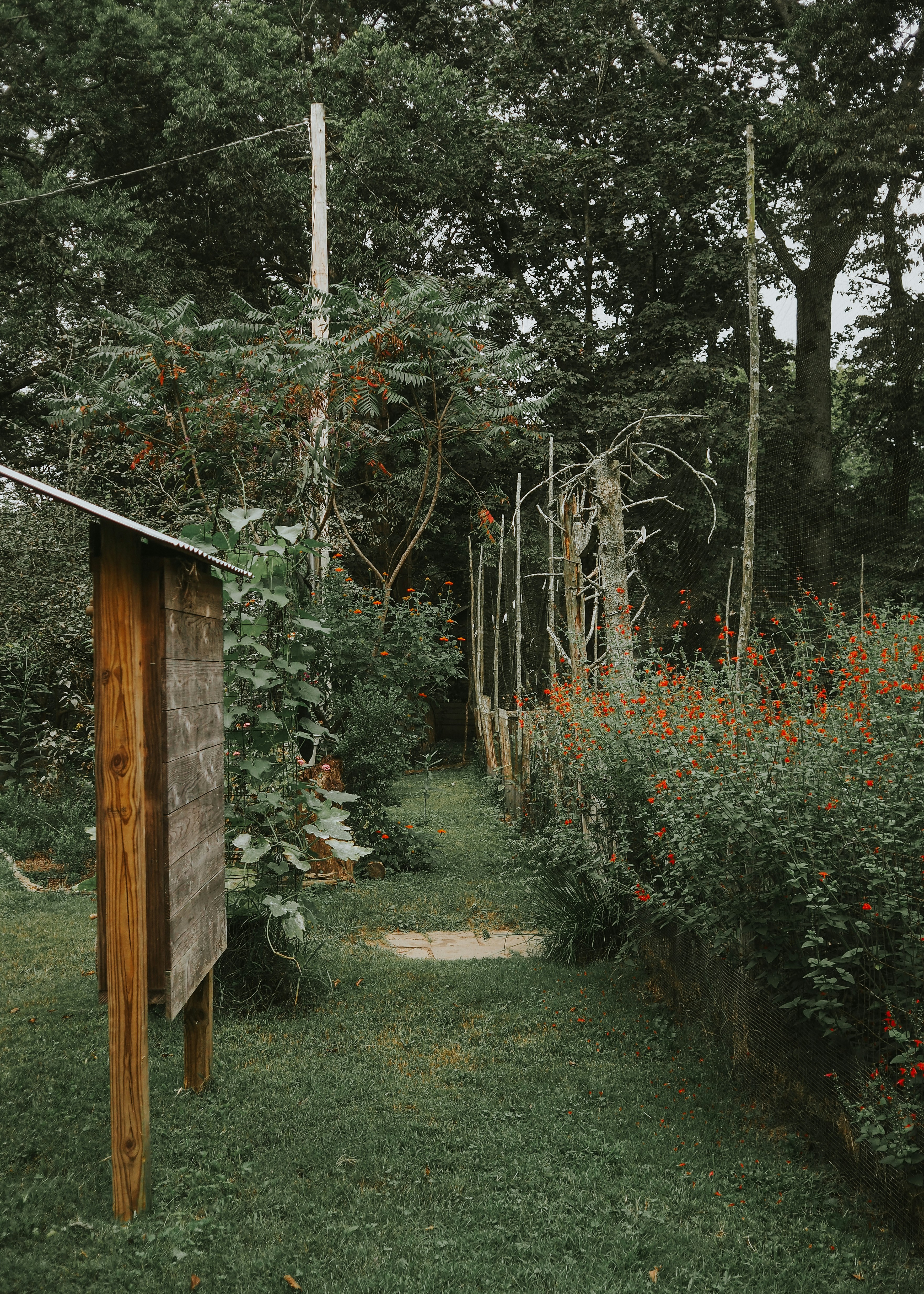 Photo by fieldworkframes