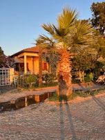Sunlit villa with lush greenery and a gated entrance in Hyderabad.