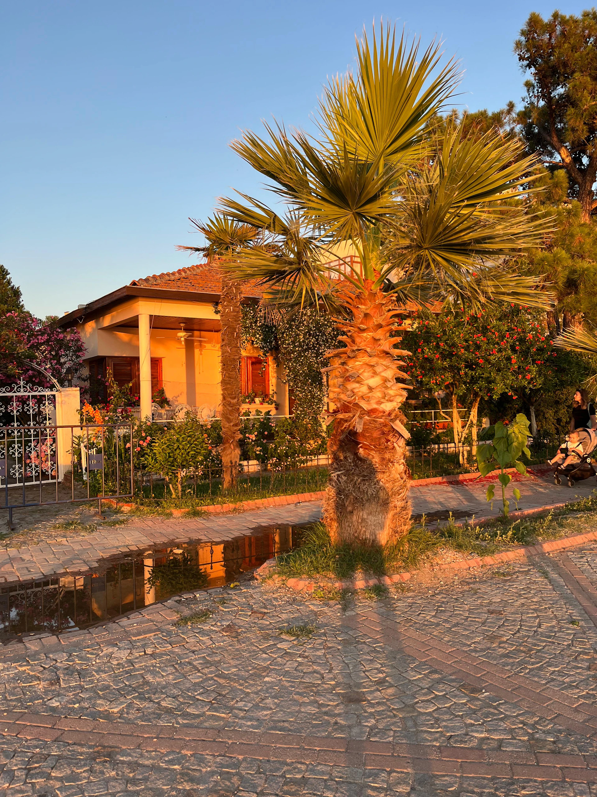 Sunlit exterior of Casa del Sol showcasing its Bali-inspired architecture surrounded by lush tropical greenery.