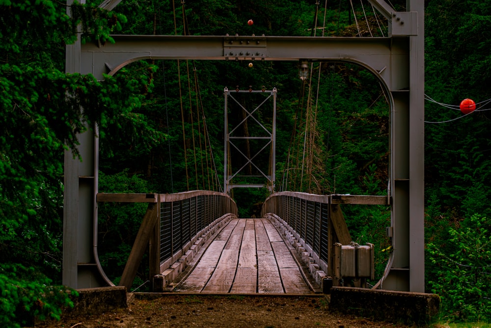 a bridge in the middle of a forest