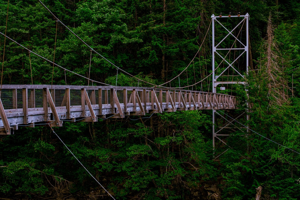 a wooden bridge in the middle of a forest